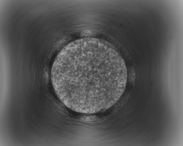X0000103320716200810060955