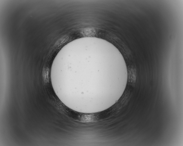X0000103320717200810060954