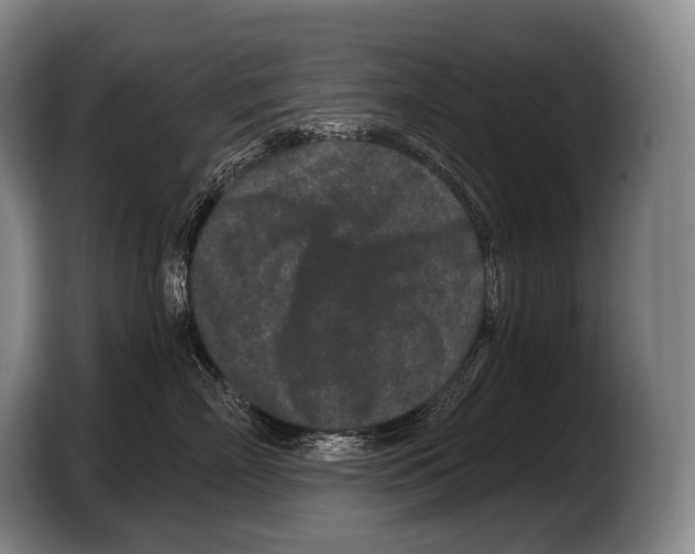 X0000103320718200810060954