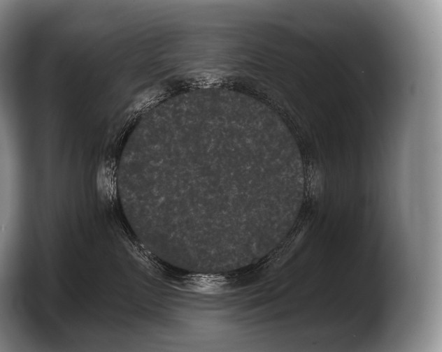 X0000103320719200810060954