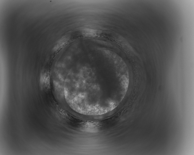 X0000103320720200810060954