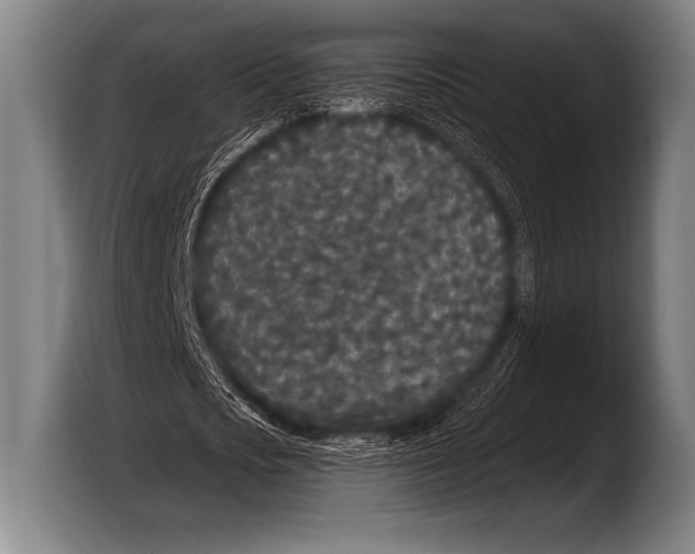 X0000103320721200810060954