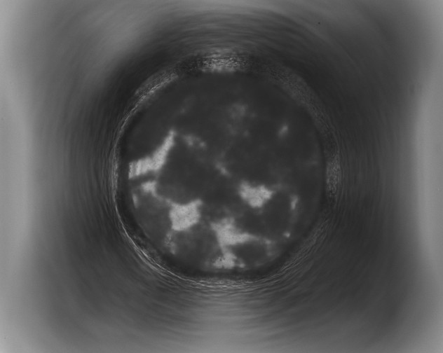 X0000103320722200810060954