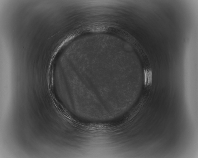 X0000103320723200810060954