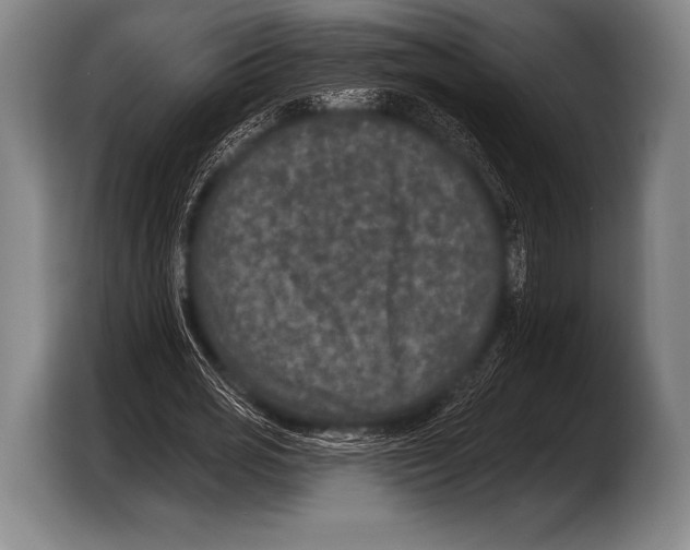 X0000103320725200810060954