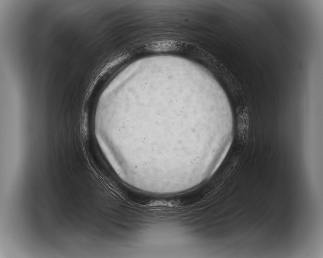 X0000103320727200810060954