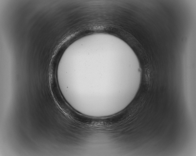 X0000103320728200810060954