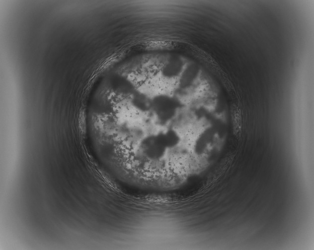X0000103320729200810060954