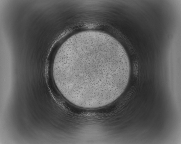 X0000103320730200810060954