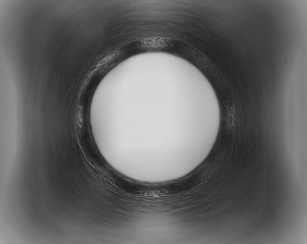 X0000103320731200810060954