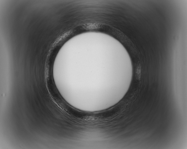 X0000103320732200810060954