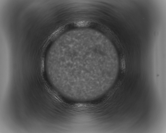 X0000103320733200810060954