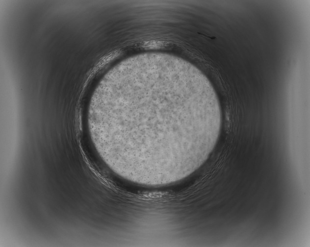X0000103320734200810060954