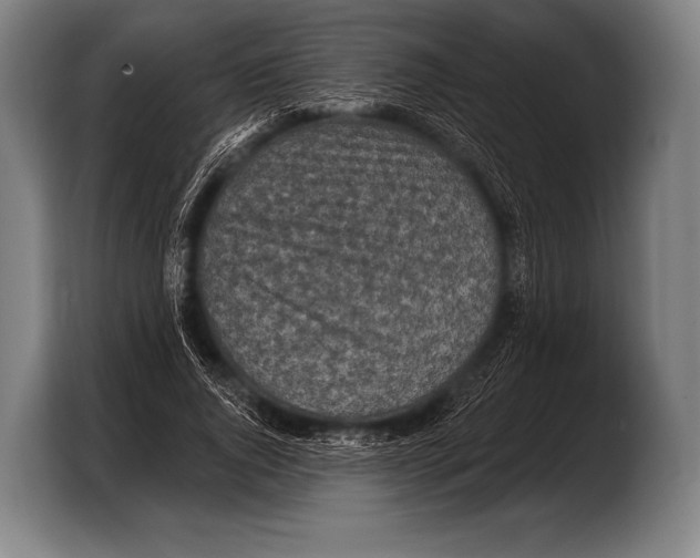 X0000103320736200810060954