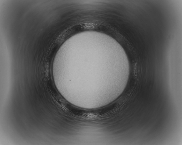 X0000103320737200810060954