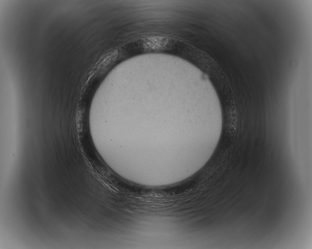 X0000103320738200810060954