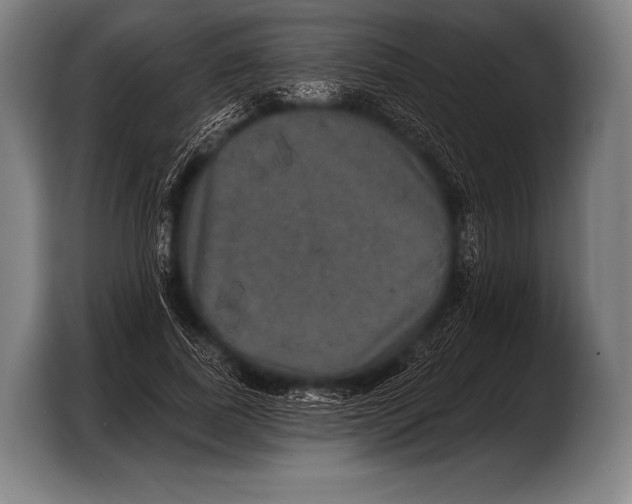 X0000103320739200810060954