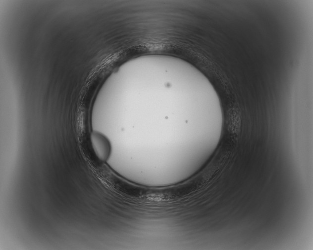 X0000103320740200810060954