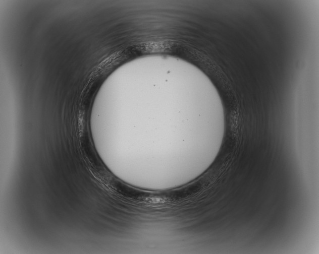 X0000103320741200810060954