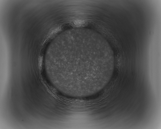 X0000103320742200810060954