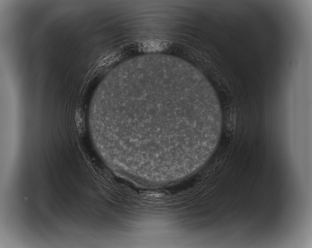 X0000103320743200810060954