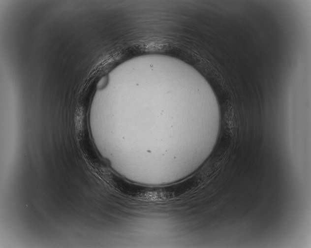 X0000103320744200810060954