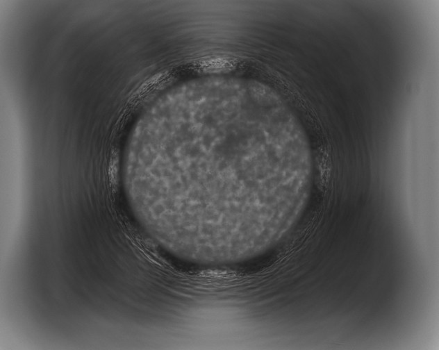 X0000103320745200810060954