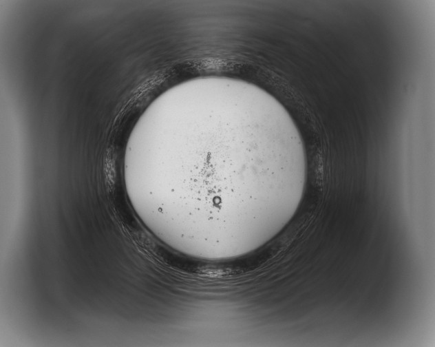 X0000103320746200810060954