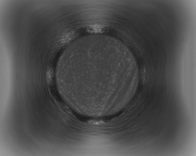 X0000103320747200810060954