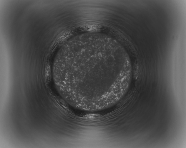 X0000103320748200810060954