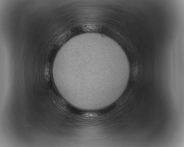 X0000103320749200810060954