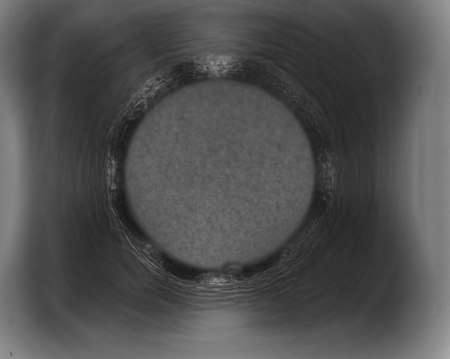X0000103320750200810060954