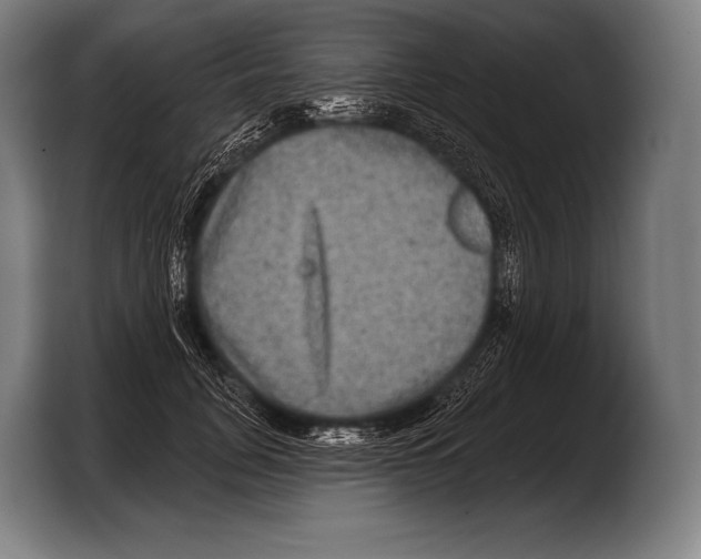 X0000103320751200810060954