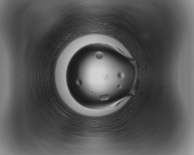 X0000103320752200810060954