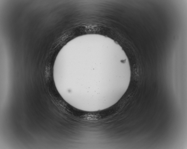 X0000103320756200810060954