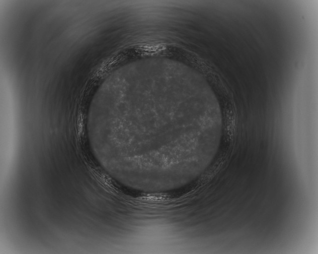 X0000103320758200810060954
