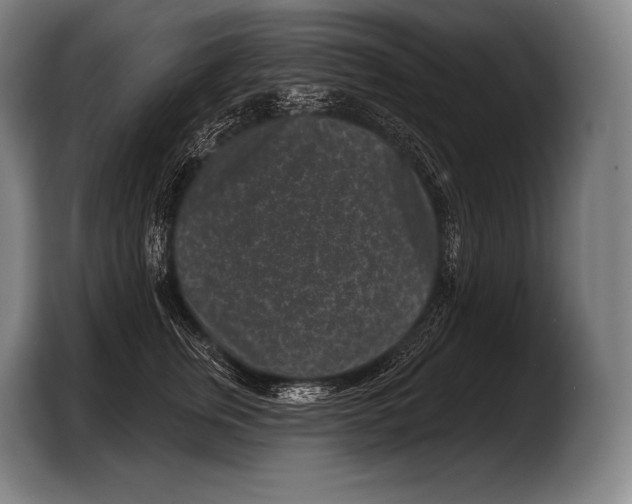 X0000103320759200810060954