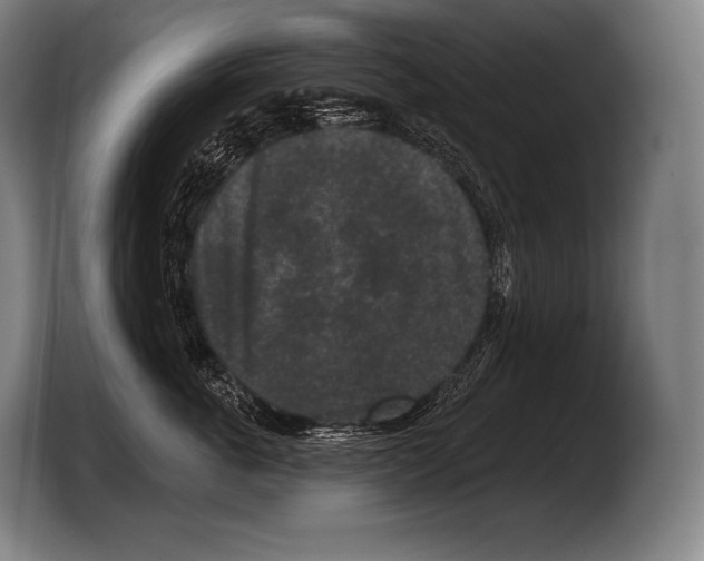 X0000103320763200810060954