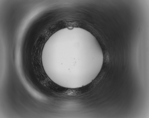 X0000103320764200810060954