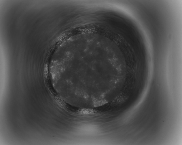 X0000103320767200810060954