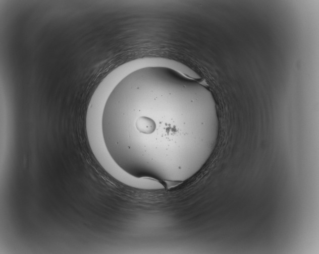 X0000103320768200810060954