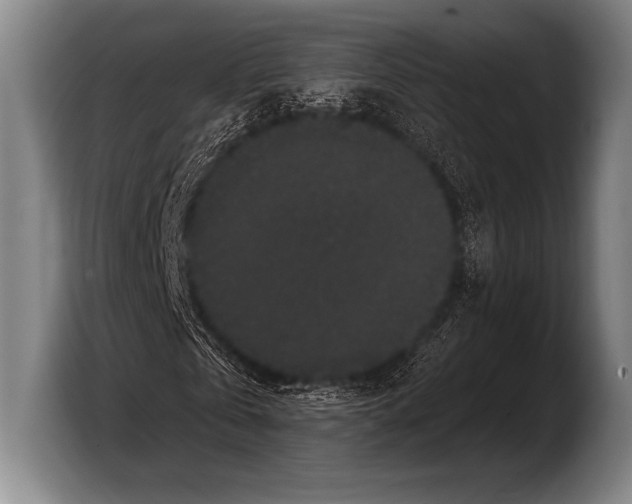 X0000103320769200810060954