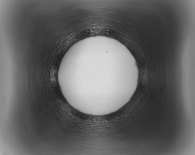 X0000103320770200810060954