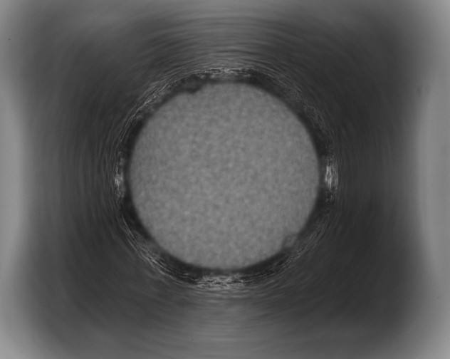 X0000103320771200810060954