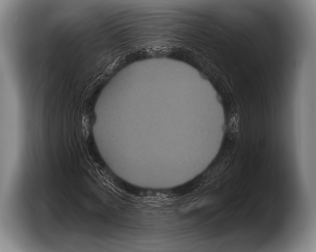 X0000103320772200810060954