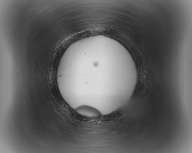 X0000103320773200810060954