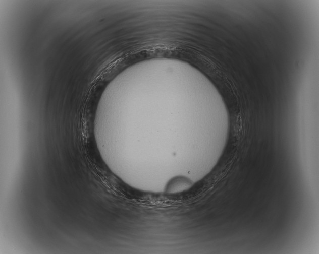 X0000103320774200810060954