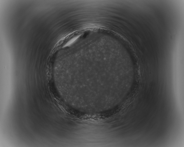 X0000103320775200810060954