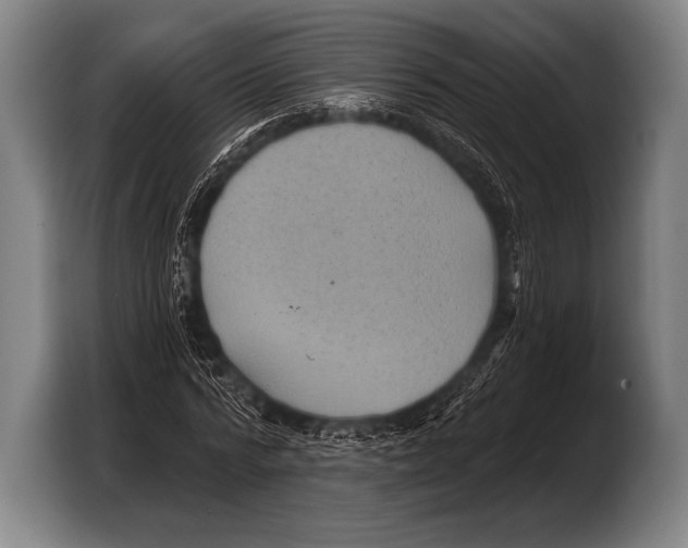 X0000103320776200810060954