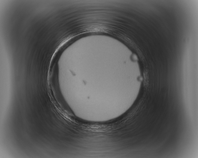 X0000103320780200810060954